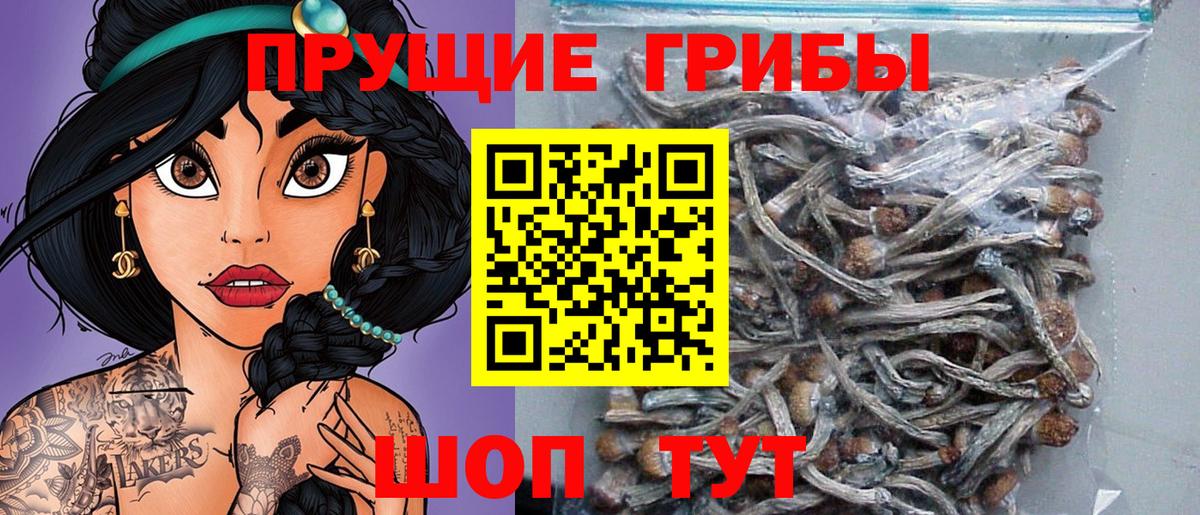 Краснодар  Галлюциногенные грибы прущие грибы  Вход с VPN 